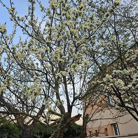 Appartement Slunny V Klidne Casti Hradce Kralove - Zahrada, Parkovani Zdarma *